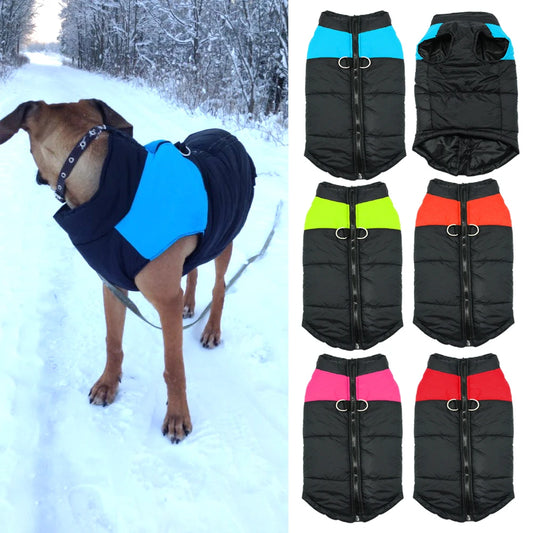 Dog winterjacket