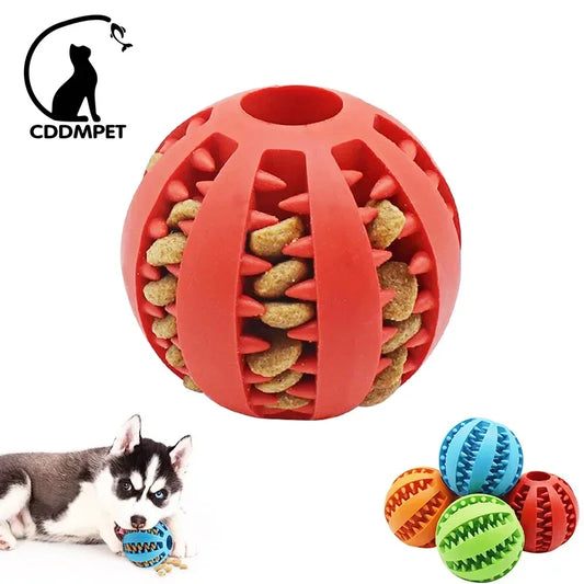 dog food enrichment ball