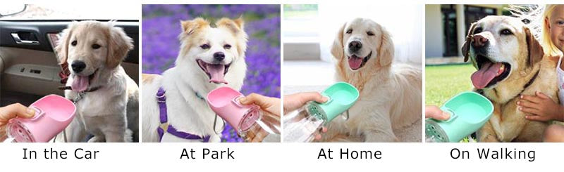 Portable Dog Water Bottle