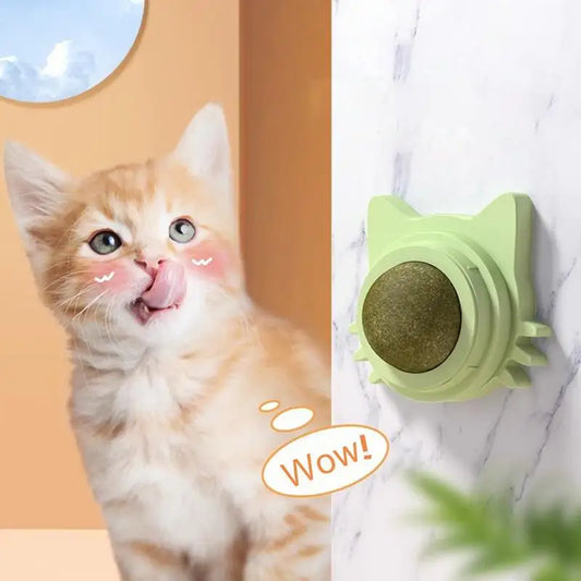 1Pcs Catnip Ball Cat Toy