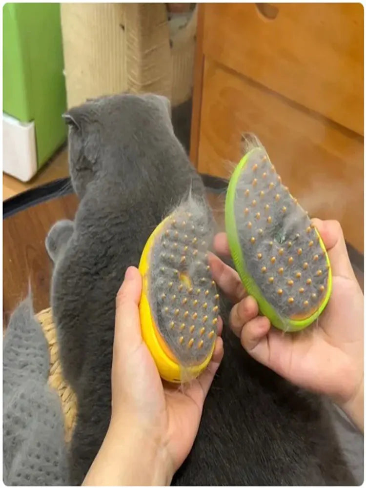 Electric Sprays Massage Combs Cat