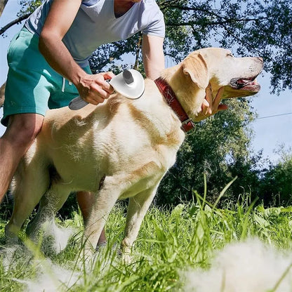 Pet brush