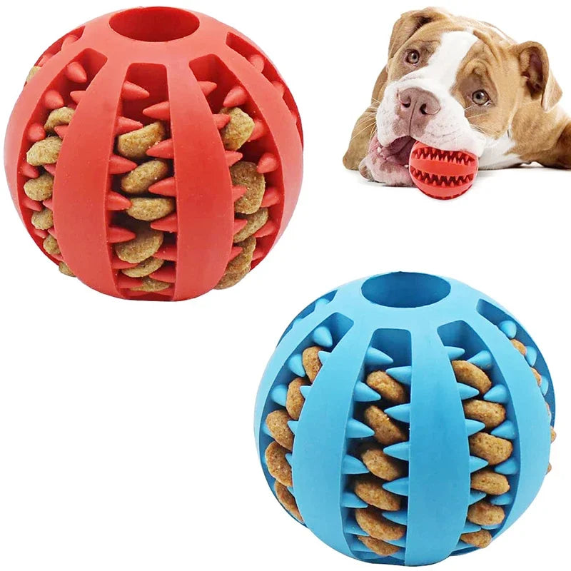 dog food enrichment ball