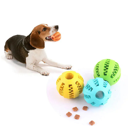 dog food enrichment ball