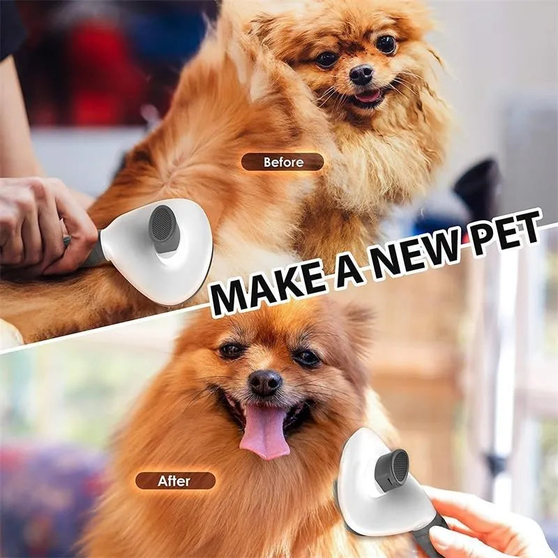 Pet brush